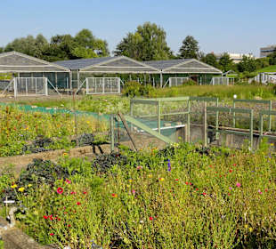 Grundwasser-Becken-Anlage