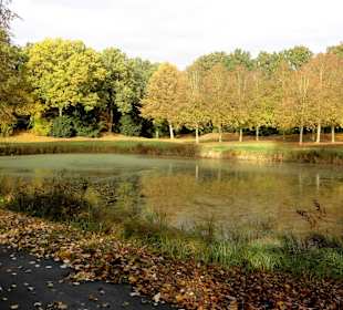 Wasserläufe auf dem Osterholzer Friedhof