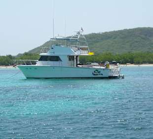 Yacht - V.I.P. Ausflug
