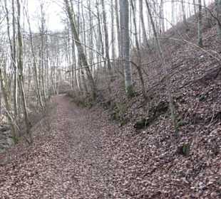 Premiumwanderweg Hohenwittlingensteig