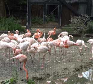 Tierpark Hellabrunn - Eingang