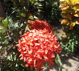 Reitausflug  – Oktober 2014