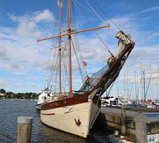 Traditionssegler im Hafen
