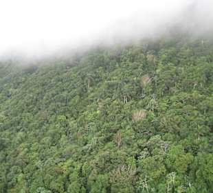 Seilbahnfahrt über den Tropenwald