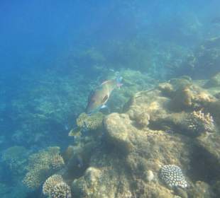 Riff am Hotel Olhuveli Beach & Spa Resort