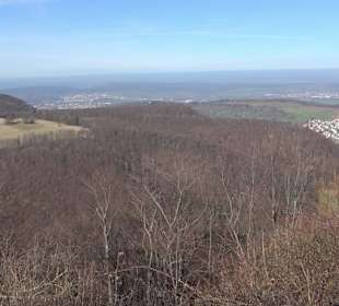 Bolberg Willmandingen