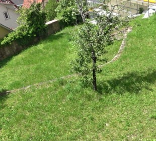 Kräutergarten Altensteig