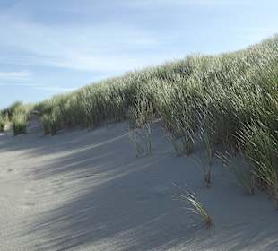 Herrliche Sanddünen von Baltrum