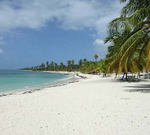 Strandabschnitt Saona