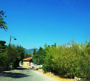 Die Wohnhäuser kommne