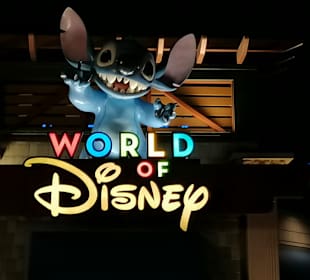 Disney World - Magic Kingdom