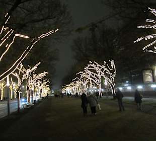 Brandenburger Tor...hinten dem Tor- u. den Linden