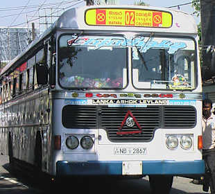 Bus Matara