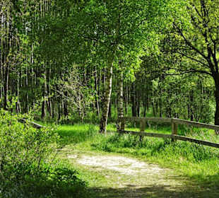 Eindrücke aus dem Stadtwald Oldenburg