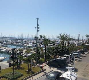 Hafen von Alcudia, 5-10 min vom Hotel entfernt