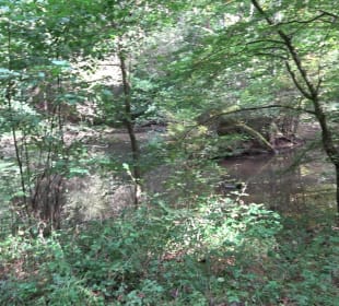 Hummelklingensee Walddorf