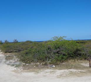 Eindrücke während der Fahrt