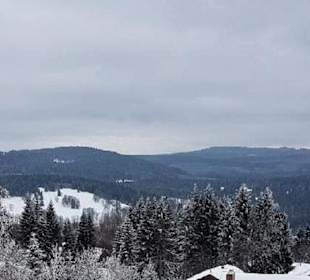 Wandern Mitterfirmiansreut 