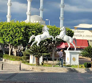 Moschee Bacoğlu Cami