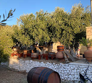 Vakakis