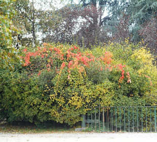Parco Sempione