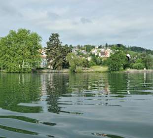 Zürichsee
