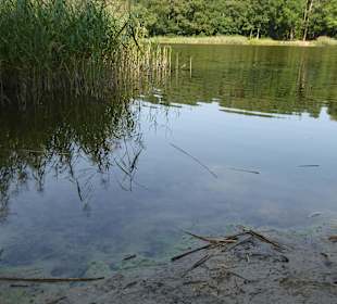 Der Beetzer See direkt am Hotel & Spa Sommerfeld