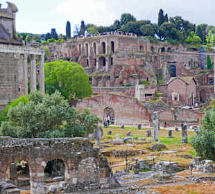 Palatino, Blick v. Fori Imperiali