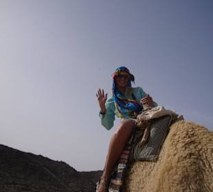 Экскурсия на сафари