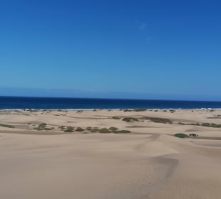 Dünen von Maspalomas
