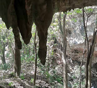 Ausflug zum National Park Los Tres Ojos mit Andy