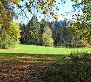 Eindrücke aus dem Bürgerpark Bremerhaven