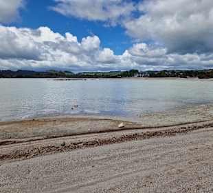 Geothermal Walking Track