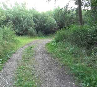 Hochgeträumt Premiumwanderung