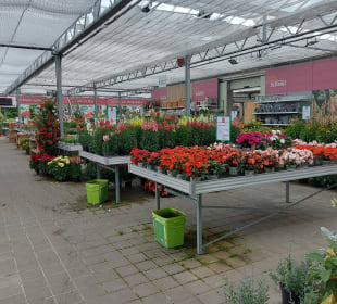 Gärtnerei Scherdi - Hofstetten