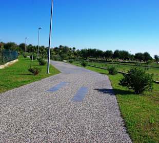 Aufgenommen am 29.11.2013