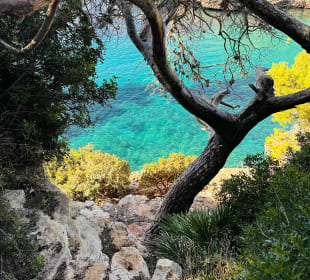 Strand Cala d'Or