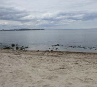 Am Naturstrand von Rosenhagen