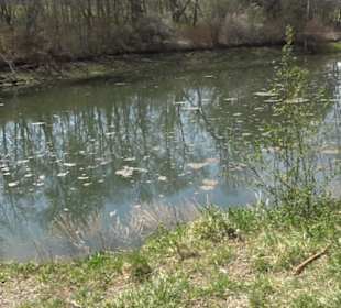 Totenbachsee