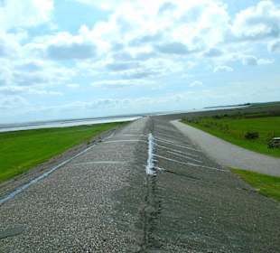 Teerdeich