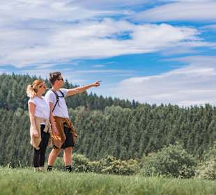 Wandern Geisfeld