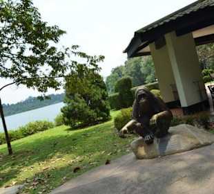 Singapur Zoo
