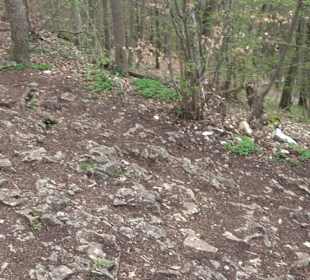Wanderung rund um das Rusenschloss Gerhausen
