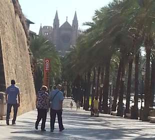 Palmenallee Richtung Kathedrale