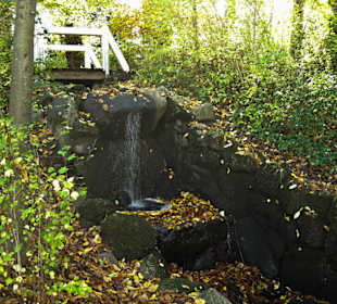 Парк Замка Ойтин. Золотая осень.