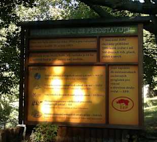 Zoo Brno