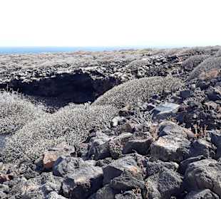 Inselrundfahrt AIDA Tagestour