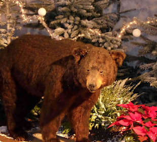 Weihnachten in Kanada