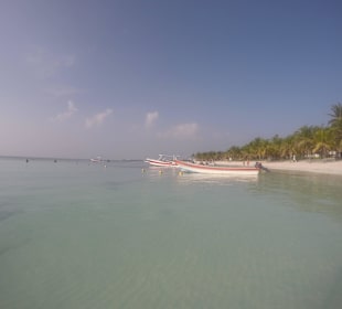 Strand vom Meer aus