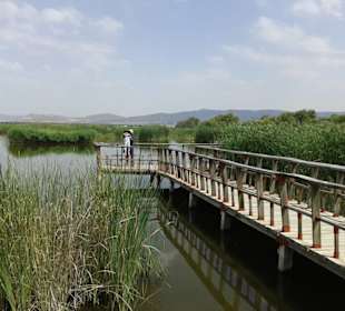 Ojos del Guadiana